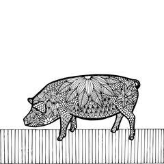 Black Pig- Chinese zodiac