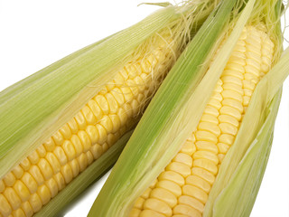 Corn