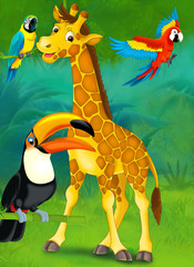 Cartoon safari - illustration for the children