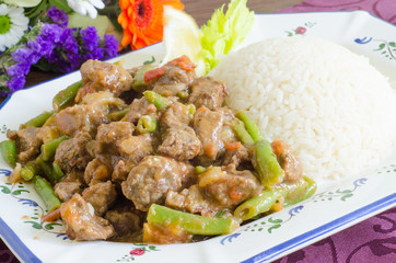 Mexican meat stew with green beans, tomato and rice
