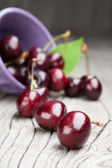 Fresh and tasty cherries