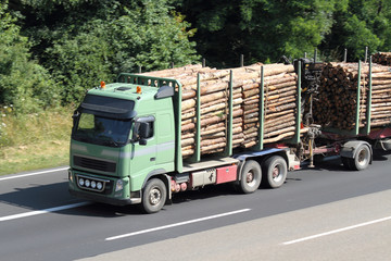 Holztransporter