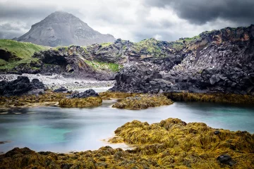 Deurstickers Kust IJsland rotsachtig kustlandschap