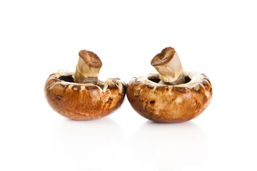 Fresh mushroom champignon isolated on white background .  fresh