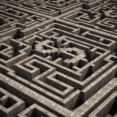Dollar inside a maze
