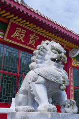 Fototapeta na wymiar Statua lwa w świątyni chiński w Hongkongu
