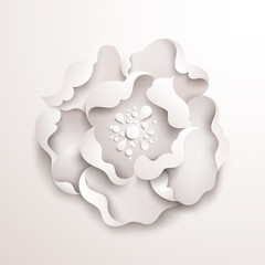 Abstract floral background. White paper flower - 54269404