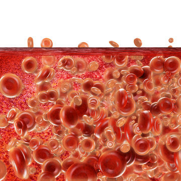 Blood cells - 3D Rendering