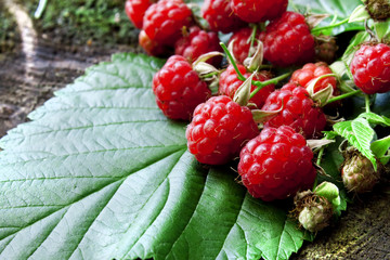 Raspberry fruits