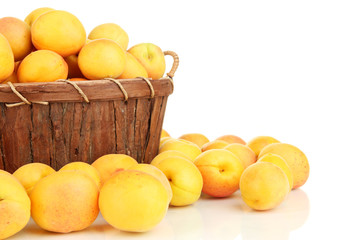 Fresh natural apricot in basket isolated on white