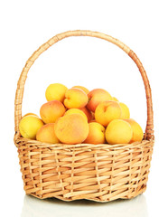 Fresh natural apricot in wicker basket isolated on white