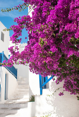 Traditional greek alley on Sifnos island, Greece - 54272014