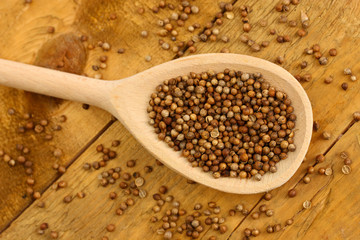 Heap coriander seeds in wooden spoon