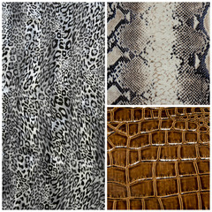 Textures animales peau collage