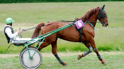 Course hippique #72