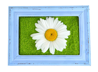Picture of colored decorative sand with flowers isolated