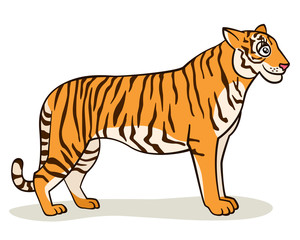 Cartoon Tiger