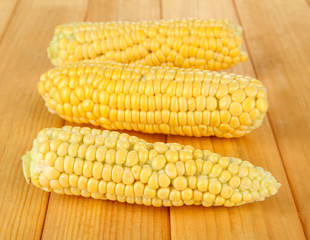 Fresh corn on wooden background