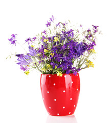 Beautiful bouquet of wildflowers in cup, isolated on white
