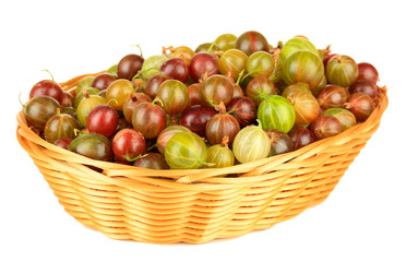 Fresh gooseberries in wicker basket isolated on white