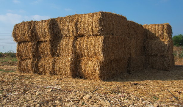 Hay Block Bilder Durchsuchen 1,183 Archivfotos, und