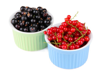 Red and black currant in bowls isolated on white