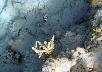 Hurghada2013