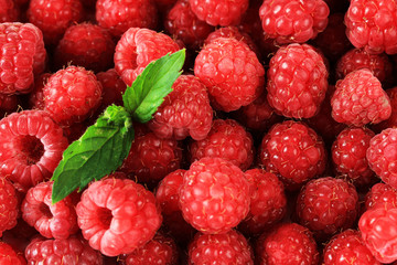Ripe sweet raspberries, close up