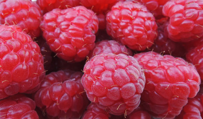 raspberries background