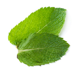 Fresh mint leaves isolated on white