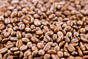 beans of  coffee