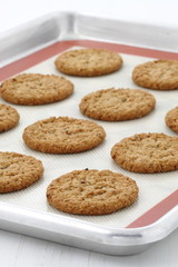 Fresh baked oatmeal cookies