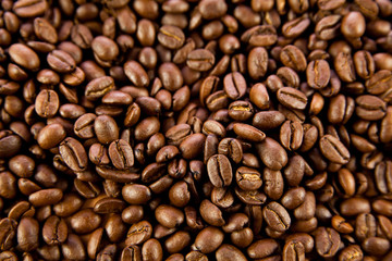 beans of  coffee