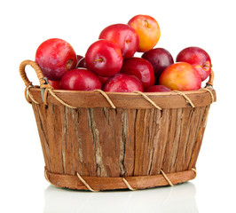 Ripe plums in basket isolated on white