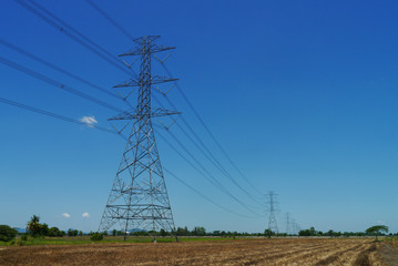high voltage post on rice field