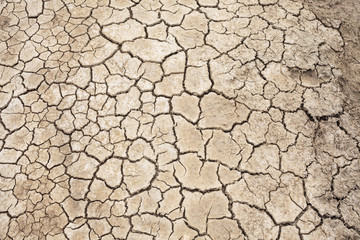 Soil texture, crack background