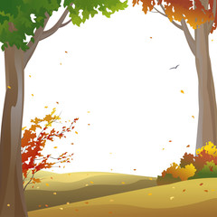 Autumn trees frame
