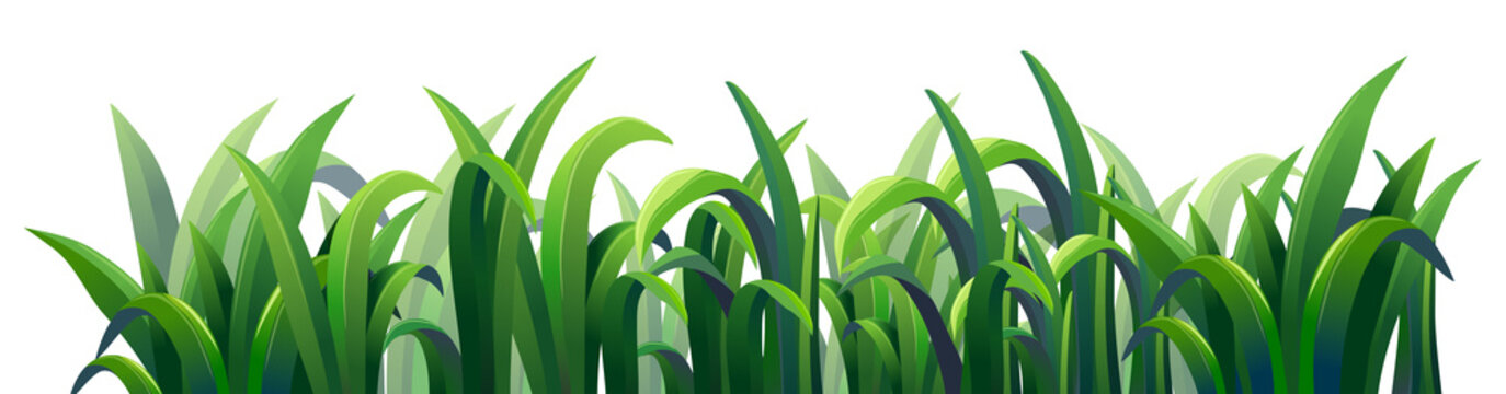 Green elongated grasses
