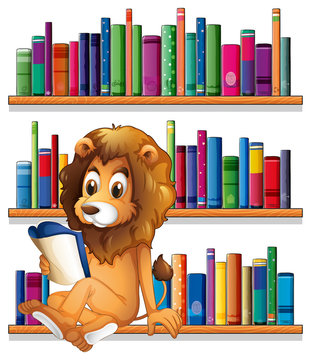 A lion reading a book while sitting on a bookshelf