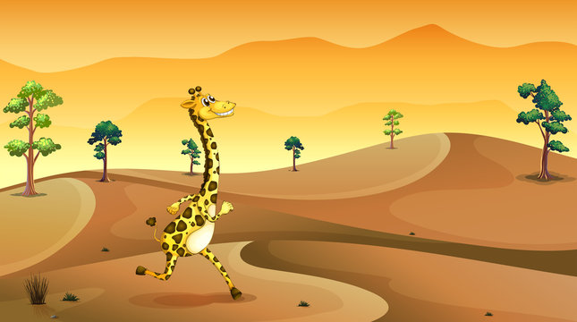 A giraffe running at the desert