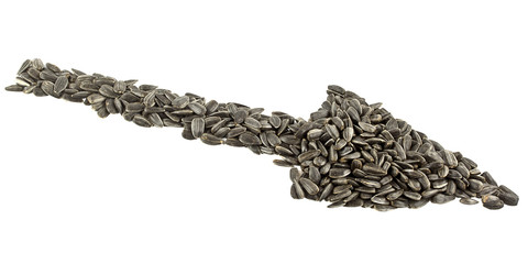 arrow from sunflower seeds