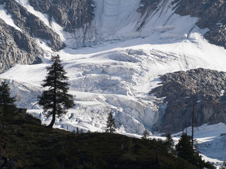 Gran Paradiso