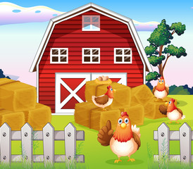 Obraz na płótnie Canvas Chickens at the farm near the red barnhouse
