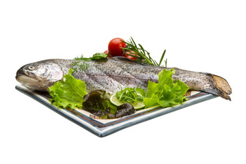 Fresh raw rainbow trout