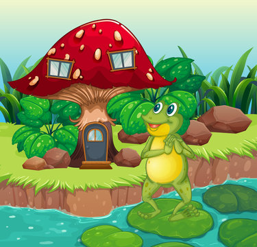 A frog standing near the red mushroom house