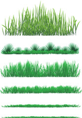 vector grass collection
