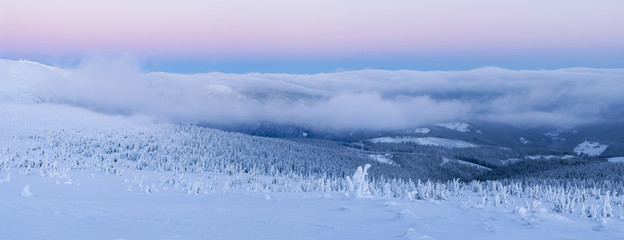 Winter Wonderland