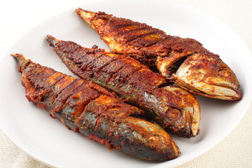 mackerel fry
