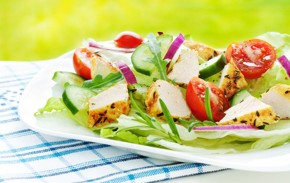 Fresh Spring Chicken Salad On White Plate Outdoor