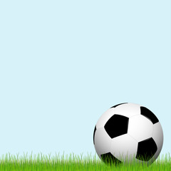 Fussball liegt im Gras